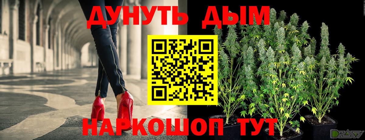 Нижнеудинск  Бошки марихуана тримм  Вход с VPN  Шишки марихуана конопля 